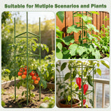 Tegarbed 6 Pack 48 Inch Tomato Cages for Garden Plant Supports