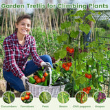 Cucumber Trellis, Metal Garden Arch Trellis for Raised Bed, 48 x 48inch U-Shape Garden Trellis for Climbing Plants Outdoor, Vegetables Fruit Plant Support with Netting, Gardening Supplies (Green)