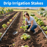 MySit 6 Inch 150 Pack U Shaped Galvanized Drip Irrigation Stakes 11 Gauge