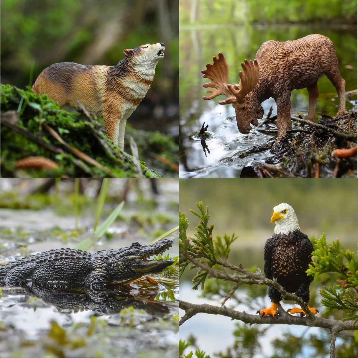 Toymany 12PCS North American Forest Animal Figurines, Realistic Jungle Animal Set Includes Moose,Cougar,Wolf,Bear,Eagle,Deer Educational Toy Cake Toppers Christmas Birthday Gift for Toddlers Kids 3-5