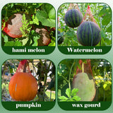 200 Pack Watermelon Nets, Hanging Watermelon Support Nets