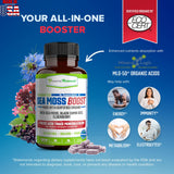 Power By Naturals Sea Moss Advanced with Black Seed Oil & Elderberry Capsules - Certified Organic Irish Sea Moss Capsules for Energy, Gut & Immune Support - Sea Moss Pills with (60+ Minerals) 60 Pills