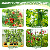 6 Pack Tomato Cage for Garden & Pots, Rust-Resistant Metal Plant Support