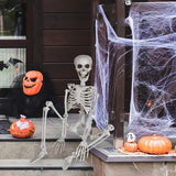 XONOR 3ft Halloween Skeleton Human Full Body Skeleton Decorations for Halloween Party Haunted House Supplies (1pc)