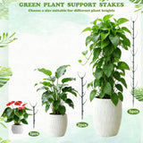 Stackable Monstera Moss Pole, 10 PCS Natural Coir Plant Support Stakes.