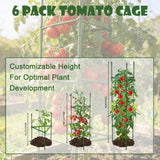 6-Pack 48'' (4ft) Tomato Cages & Trellis – Outdoor Garden Adjustable Plant Support & Stakes for Home Gardeners, Raised Garden Beds & Patio, Supports Climbing Tomatoes, Vegetables & Flowers