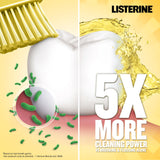 Listerine Original Antiseptic Oral Care Mouthwash to Kill 99.9% of Germs That Cause Bad Breath, Plaque and Gingivitis, ADA-Accepted Mouthwash, Original Flavored Oral Rinse, 1.5 L, 6 Pack