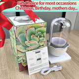 Smart Venus Fly Trap Terrarium Pot with Timer&Fan,Butterwort Plant Pot with Grow Light,Plant Terrarium Kit for Carnivorous Plants, Christmas Birthday Gifts for Women Garden Lover (No Plant)