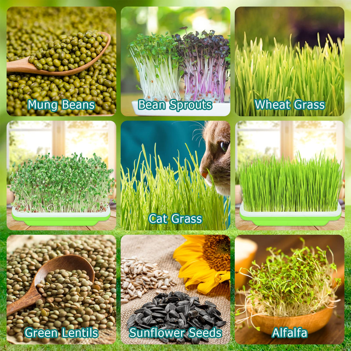 Legigo 10 Pack Seed Sprouter Trays- Soil-Free Cultivation Germination Tray, BPA Free Nursery Tray with Planting Paper for Indoors or Outdoors Sprouting Seeds, Grow Grass, Beans (Without Lids)