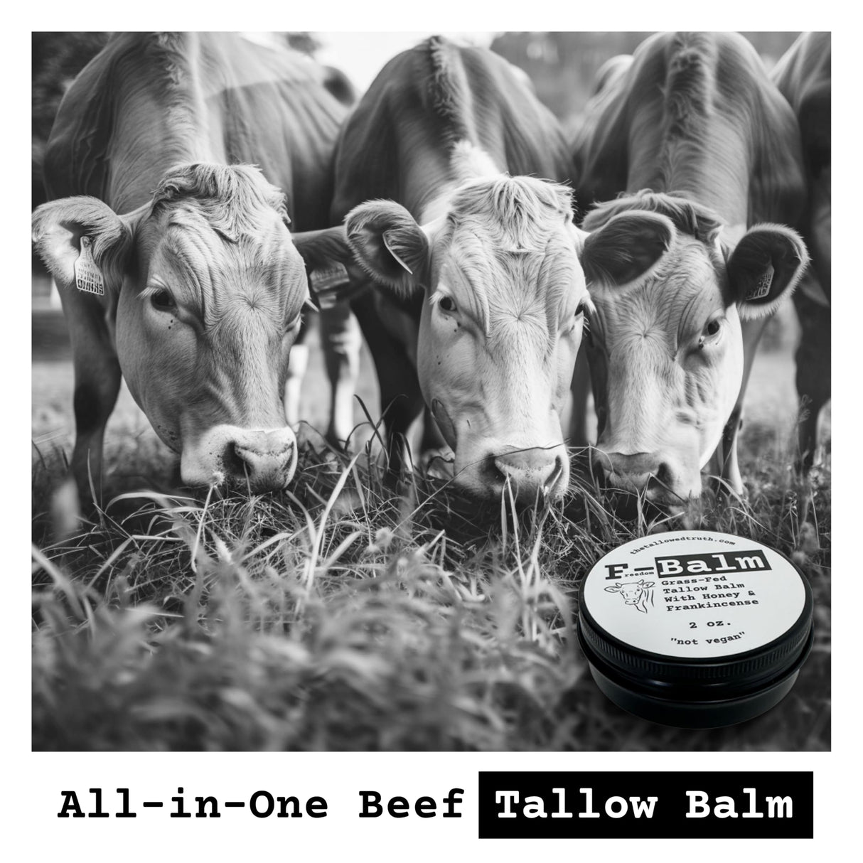 The Tallowed Truth F-Balm Tallow – Grass-fed, Grass-finished Tallow – 5 Ingredients Only – Canadian-made All Purpose Tallow Balm – Made in Canada – Tallow for Face & Body – 2 oz (1-Pack)