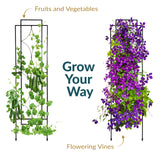 Sunnydaze 60" Black Metal Garden Trellis for Climbing Plants, 2-Pack