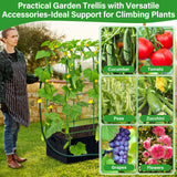 Sunwinx Garden Cucumber Trellis for Climbing Plants Outdoor with Grow Bag, 65x50 Inch Large U-Shaped Cucumber Trellis for Raised Bed, Metal Arch Plant Trellis for Vegetable Grape Pea Bean Vine Squash