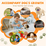 QTwoof 20-Pack Plush Squeaky Dog Toys for Small Dogs