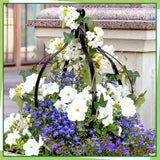 2 Set Metal Garden Obelisk Trellis for Climbing Plants with 100 Ties 18 x 12'' Sturdy Versatile Support for Roses Vines Flowers Potted Plants Garden Ornament Easy Assembly Indoor Outdoor Displays