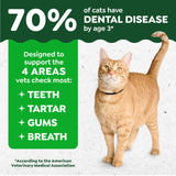 Greenies Feline Natural Dental Cat Treats, Catnip Flavor, 21 oz