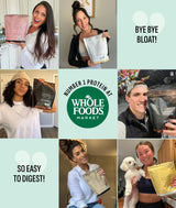 Truvani Vegan Pea Protein Powder | Mint Chocolate | 20g Organic Plant Based Protein Per Serving | 10 Servings | Keto | Gluten & Dairy Free | Low Carb | No Added Sugar