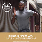 Optimum Nutrition Gold Standard 100% Whey Naturally Flavored Protein Powder, Vanilla, 1.9 Pound (Packaging May Vary)