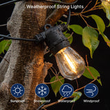FLSNT 24 Pack LED S14 Replacement Light Bulbs, Shatterproof Waterproof 1W Outdoor String Light Bulbs, E26 Regular Base, 2200K Warm White, CRI80, Non-Dimmable