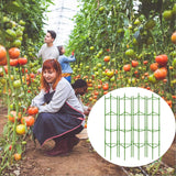 Moirsunt 66Inch Tomato Cage for Garden, 4Pack Plant Support Garden Stakes