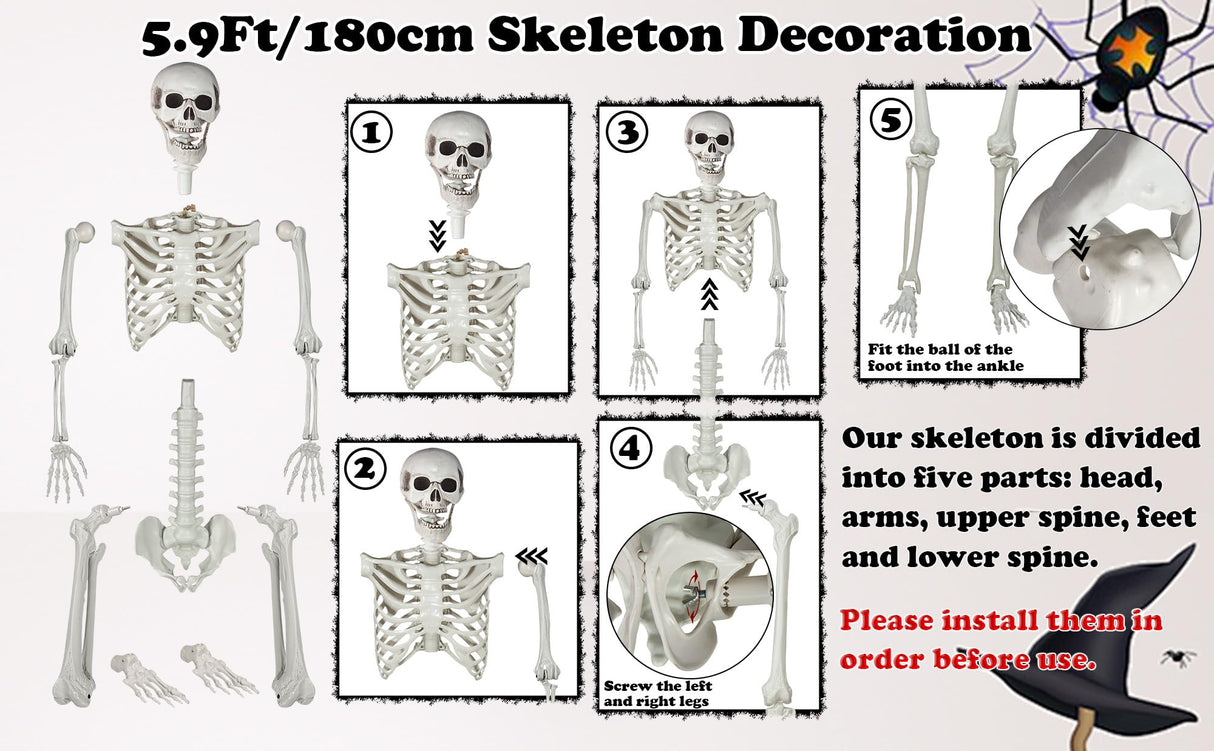 LaLamona 5.9ft/180cm Posable Halloween Skeleton, Life Size Skeleton Bones with Movable Joints for Halloween Graveyard Haunted House Spooky Scene Decor, 1pc