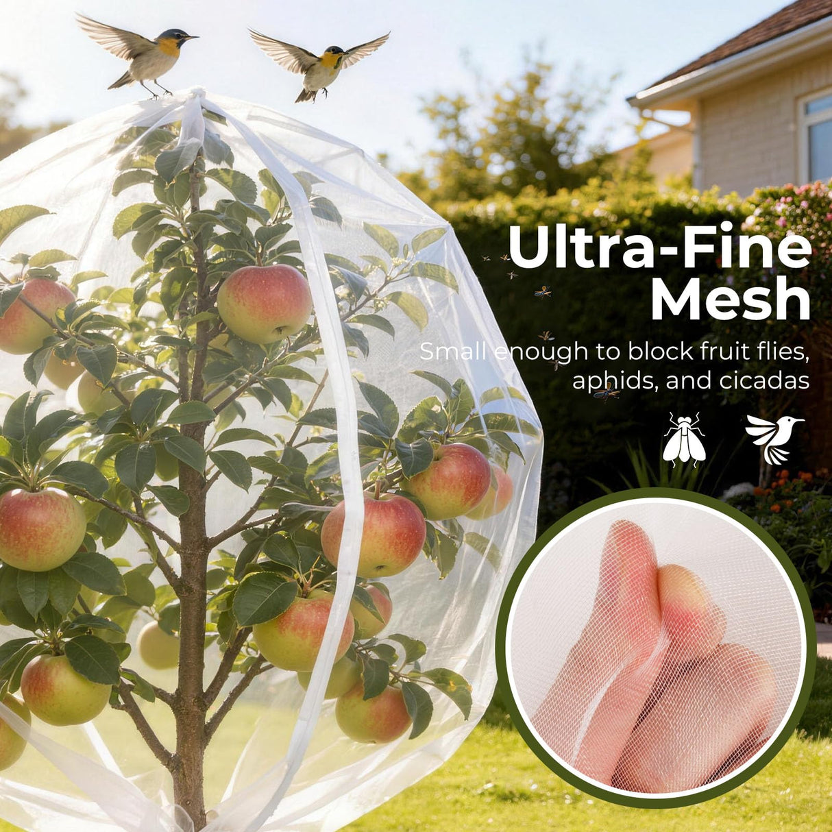 Homoda Fruit Tree Netting Cover with Zipper & Drawstring, 10ft x 10ft Insect Bird Barrier Netting for Garden Protection, Ultra Fine Mesh Garden Netting Pest Barrier, Extra Large, 1 Pack