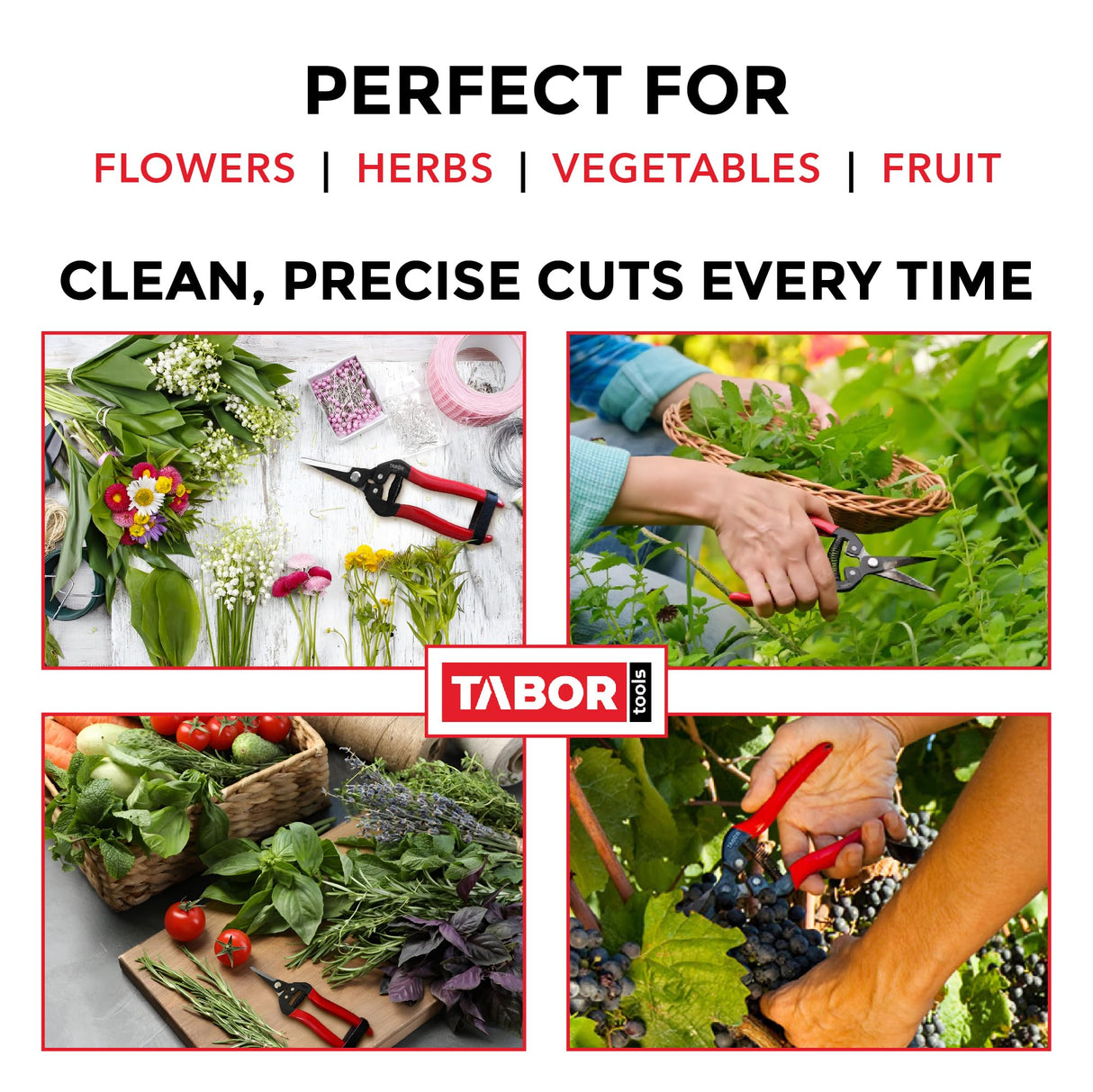 TABOR TOOLS K7A Pruning Shears with High Carbon Steel Blades, Straight Garden Snips & Pruning Scissors, Florist Shears for Deadheading, Trimming & Harvesting Herbs, Flowers, Fruits or Vegetables