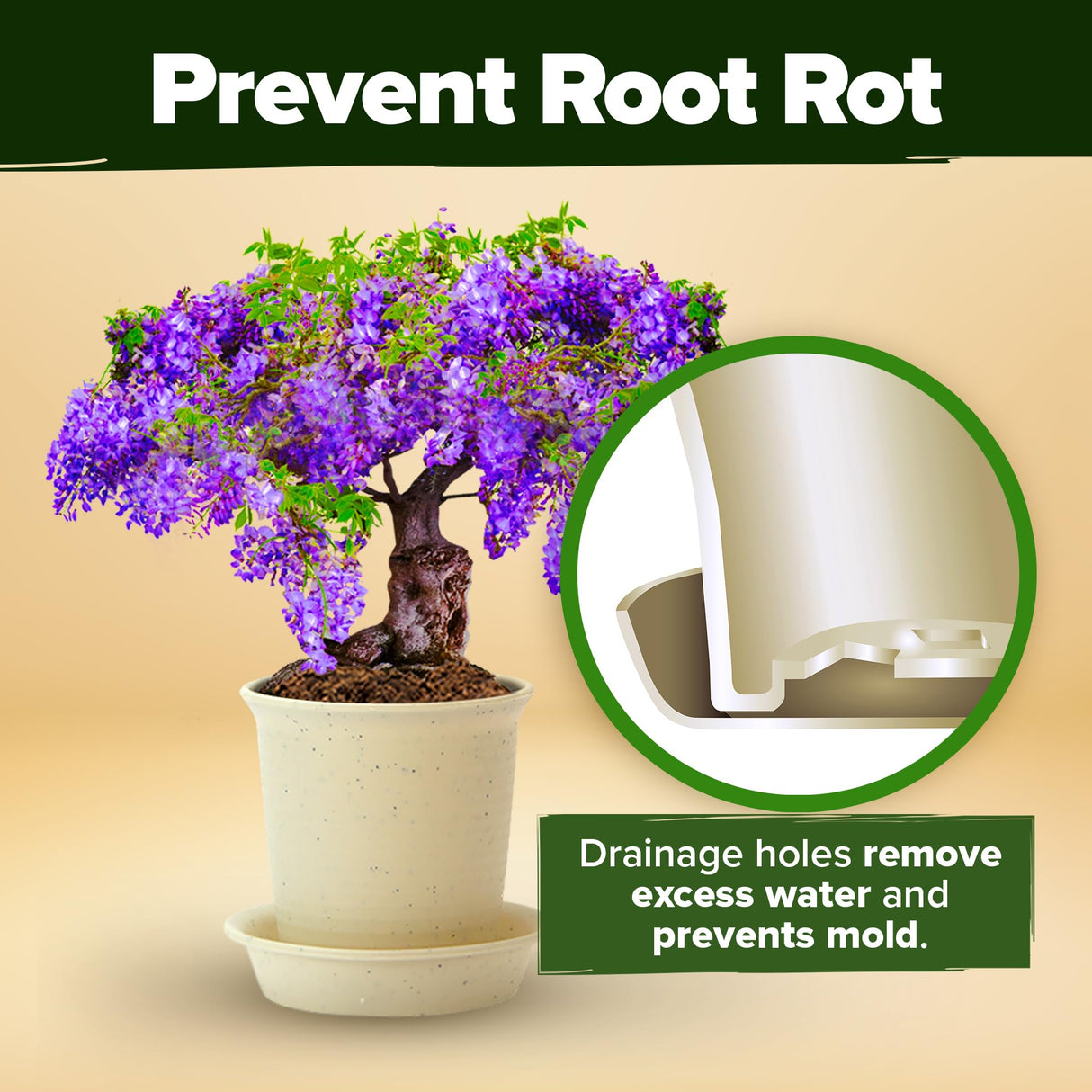 Bonsai Tree Kit 𝗨𝗦𝗔 Gifts for Men & Women - Grow 4 Bonsai Trees - Unique Gardening Crafts for Adults, DIY Hobbies for Plant Lovers & Gardeners - Unusual Christmas Gift Ideas for Mom & Dad