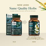 Gaia Herbs Mighty Lungs - Lung Support Supplement to Help Maintain Overall Lung & Respiratory Health* - With Mullein, Plantain, Schisandra & Elecampane - 60 Vegan Liquid Phyto-Capsules (30-Day Supply)