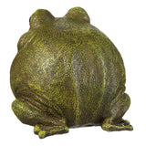 Evergreen Garden Cute Portly Frog 6" Tall Outdoor Statue and Secret Key Holder | Weatherproof and Outdoor Safe | Garden Sculpture | Porch Garage or Patio Home Decor