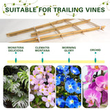 Sprigra Bamboo Trellis 2FT 3 Pack, Plant Ladder Stakes 24 Inches, Natural Fan-Shaped Bamboo Trellis for Orchid Vines, Monarchs, Ivy and Other Plants Climbing, Help Plant Growth
