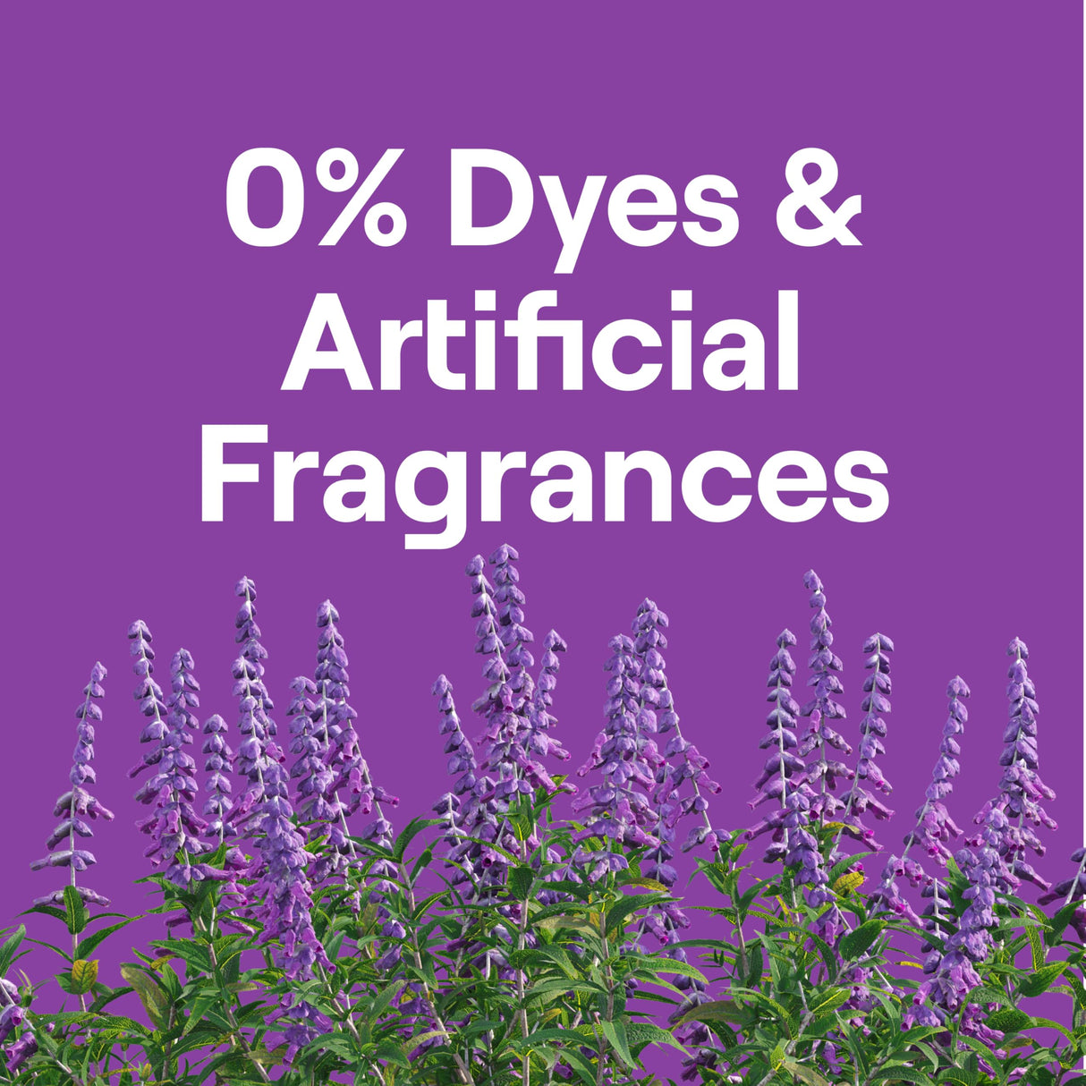 Seventh Generation Concentrated Laundry Detergent, Fresh Lavender scent, 40 oz, Pack of 2 (106 Loads)