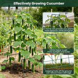 2 Pack Cucumber Trellis, 48"x16" Adjustable A-Frame Trellis for Climbing Plants, Metal Foldable Upgraded Vegetable Trellis for Raised Bed, Support for Tomatoes, Squash, Zucchini, Vegetables & Flowers