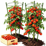 Gootaimi Large Tomato Cages, 24 Inch Tomato Cages for Garden, Plant Support Cages for Tomatoes, Potted Indoor Outdoor Plants, Flower Vine Climbing Plant Tomatoes Trellis, 2 Packs