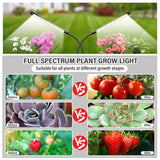 bseah Plant Grow Light for Indoor Plants, Full Spectrum Indoor Grow Light, 10-Level Dimmable and Auto ON & Off Timer (2 Head 2 Pack)
