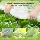 RIFNY Garden Netting for Raised Beds Garden Protection Plant, 2 Pcs 10x33Ft