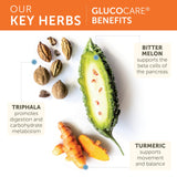 Himalaya GlucoCare, 3 Week Supply - Herbal Glucose Metabolism and Pancreatic Support with Triphala, Turmeric, Bitter Melon, and Gymnema - Vegan, Non-GMO, Gluten Free, 90 Capsules