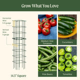 Vego Garden 2 Pack Tomato Cage 14.5"x 58" Square for Garden & Pots, Rust-Resistant Tomato Stackable Heavy Gauge Plant Cage Trellis Support for Climbing Vegetables Plants