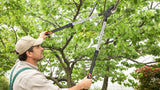 AIRAJ 26-39'' Extendable Anvil Loppers,Heavy Duty Branch Cutter up to 2.75'' Cut Capacity, Tree Trimmer with Compound Action,Tree Prune with Spare Blade,Pruning Shear for Gardening