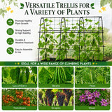 FOLLOOK Cucumber Trellis for Raised Garden Bed, 63x48inch, Black