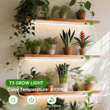DingChen T5 Grow Lights, 2FT 60W (4×15W, 500W Equivalent), Full Spectrum Grow Lights for Indoor Plants, 4000K, Plug and Play, Easy to Install, for Greenhouse & Plant Shelves (4 Pack)
