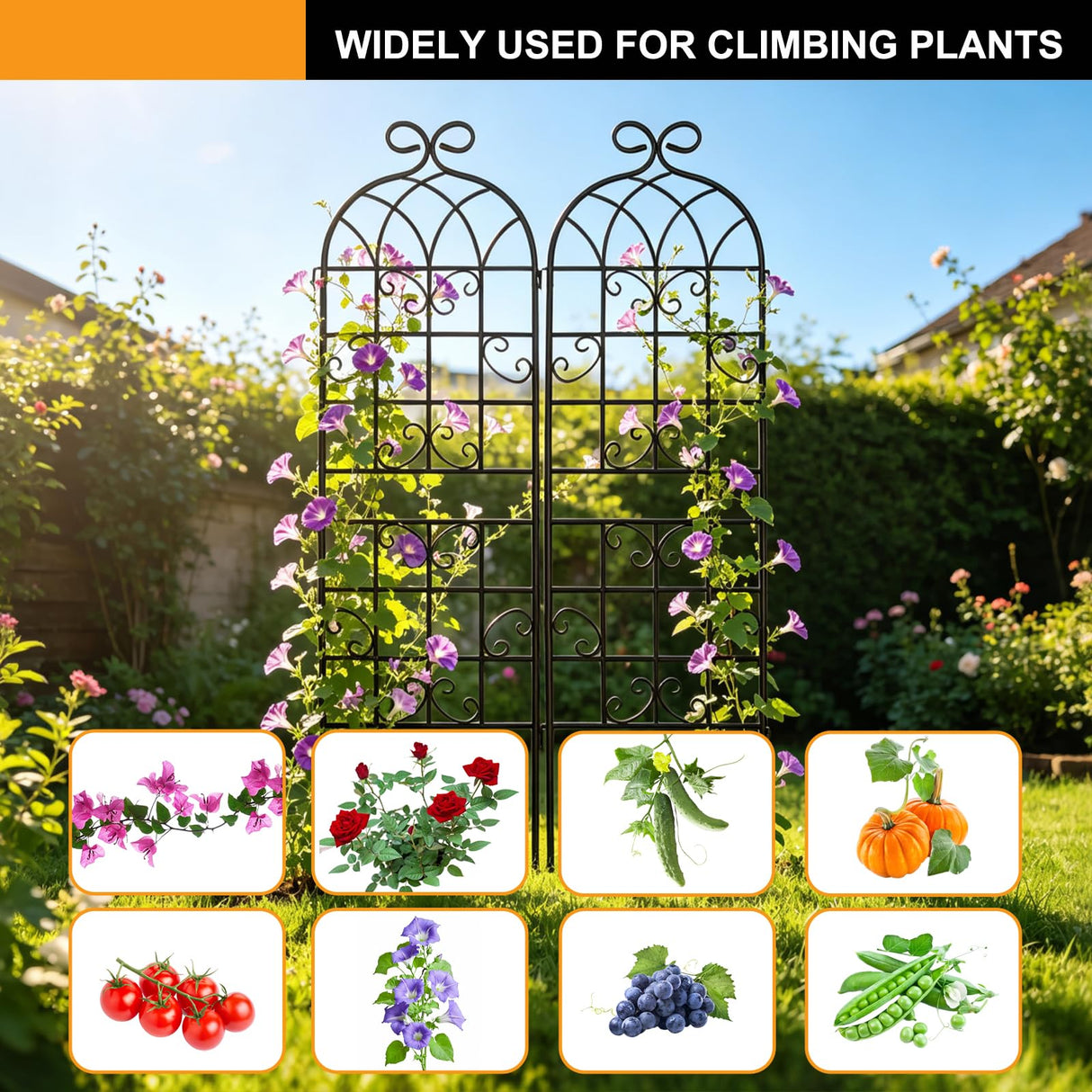 YOBAZAN Metal Garden Trellis 71"x20", 2 Pack Plant Support Trellis