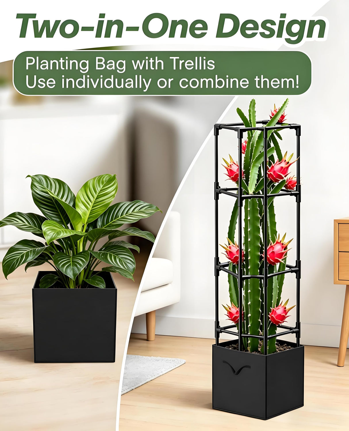 2PCS Dragon Fruit Trellis for Climbing Plants Indoor Outdoor, Heavy Duty Metal Adjustable Vertical Garden Support for Indoor Outdoor Potted Plants, Tomato, Cactus, Roses,Vines(12 * 12 * 47inch,2PC)
