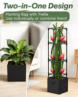 2PCS Dragon Fruit Trellis for Climbing Plants Indoor Outdoor, Heavy Duty Metal Adjustable Vertical Garden Support for Indoor Outdoor Potted Plants, Tomato, Cactus, Roses,Vines(12 * 12 * 47inch,2PC)