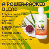 Dynamic Health Healthy Blend with Acai, Mangosteen, Noni, Maqui & Aloe Vera, No Additives, Immune System Support, Antioxidant, Vegan, Gluten Free, Non-GMO, 32 Fl oz