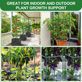 Lezmarket 3 Pack Tomato Cages for Garden, Tomato Trellis for Raised Garden Bed with Plant Clips and Twist Ties for Climbing Plants, 43 inches