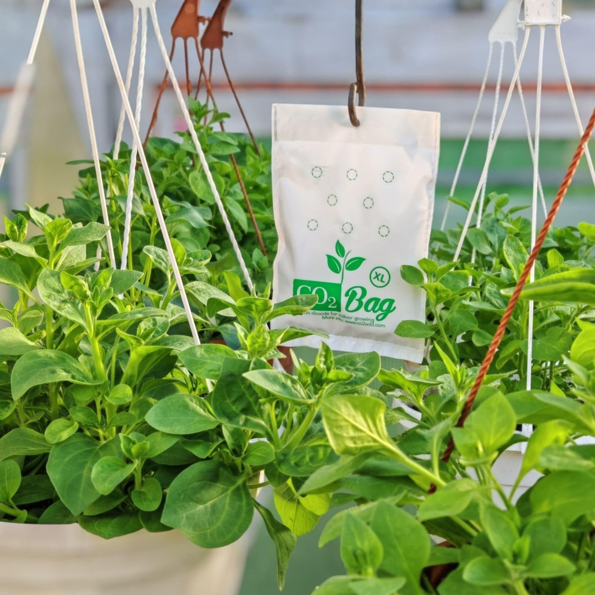 CO2BAG® XL - High-Capacity Natural CO2 Generator for Large Grow Rooms & Greenhouses | Maximum Growth & Pro-Grade Yields | Extra Large Organic Hydroponic Supplement | Maintenance-Free (XL 1-Pack)