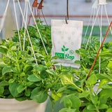 CO2BAG® XL - High-Capacity Natural CO2 Generator for Large Grow Rooms & Greenhouses | Maximum Growth & Pro-Grade Yields | Extra Large Organic Hydroponic Supplement | Maintenance-Free (XL 1-Pack)
