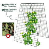 Amoskey Cucumber Trellis, Garden Trellis for Climbing Plants Outdoor, Foldable A-Frame Trellis, Cucumber Trellis for Raised Bed for Cucumbers, Peas, or Tomatoes (Green, Small Grid 48‘’H*34''W)