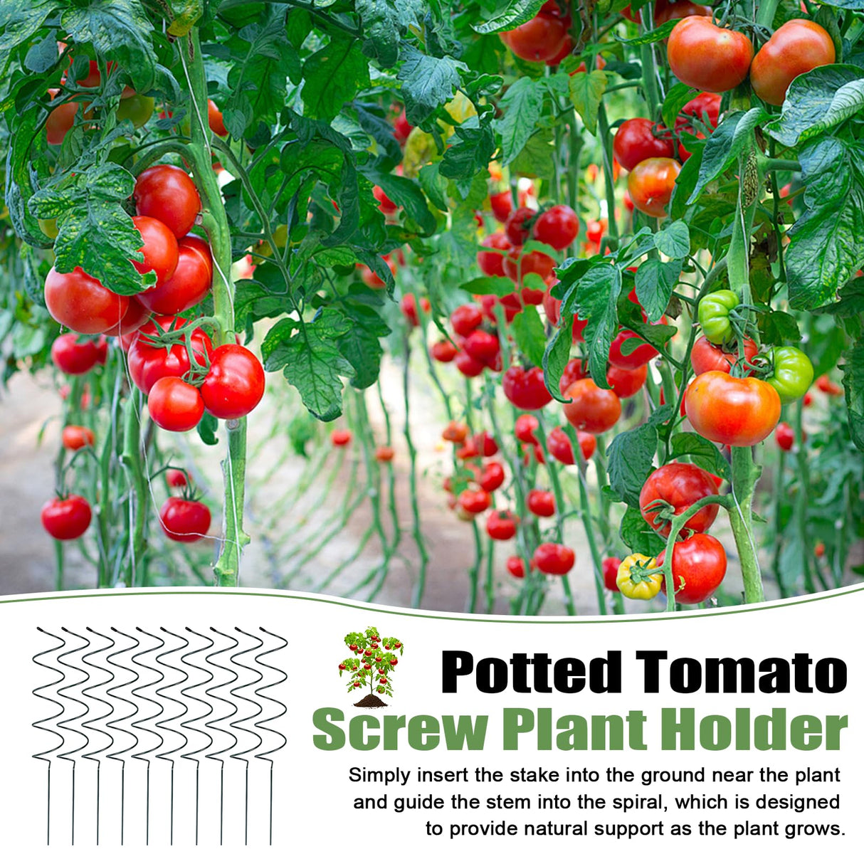 Wshxjzyay 10 Pack Tomato Twist Stake, Spiral Tomato Stakes for Indoor Outdoor, Spiral Garden Stakes for Climbing Plants, Tomatoes, Roses & Garden Vines