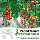 Wshxjzyay 10 Pack Tomato Twist Stake, Spiral Tomato Stakes for Indoor Outdoor, Spiral Garden Stakes for Climbing Plants, Tomatoes, Roses & Garden Vines